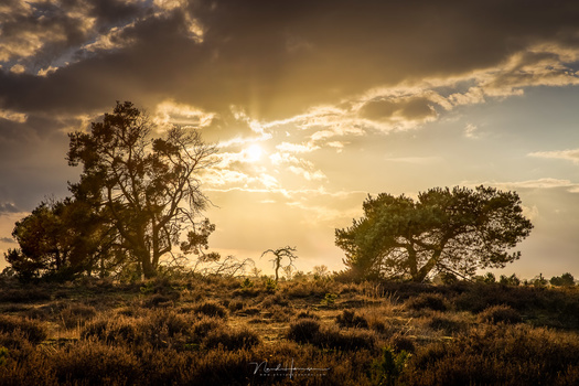 Don't just take a picture of a landscape. Choose a subject, play with light and shadow, use lines and composition tools, and find the best perspective. Use your focal length, distance, angle of view, and depth of field to make the best possible photo.