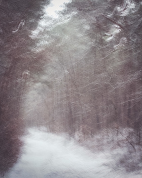 Blurry snow by Zofia Reych Blurry snow by Zofia Reych