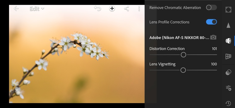 Lens profile corrections Lens profile corrections enabled