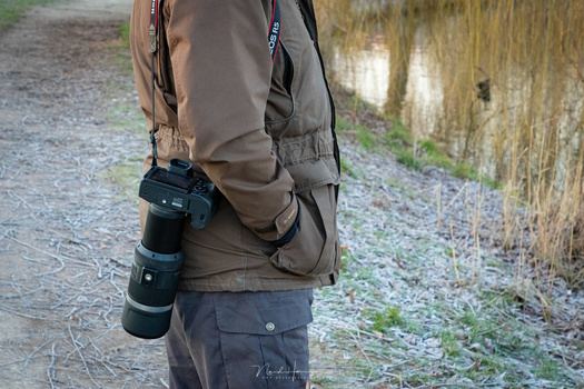 Both the Canon RF 600mm and RF 800mm are very portable and easy to take with you. Using these lenses hand held is no problem whatsoever. In the picture I carry the RF 600mm extended.