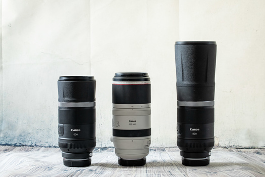 If you don't like fixed focus lenses, the alternative is the Canon RF 100-500mm. You can buy both the RF 600mm and RF 800mm for one RF 100-500mm lens, and still save almost a thousand dollars.