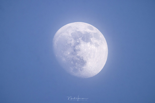 An image of the moon, shot with the RF 800mm and RF 2x teleconverter. The image quality will suffer, but also the atmospheric conditions didn't help to achieve a lot of sharpness. (Canon EOS R5 with RF 800mm and RF 2x TC - f/22 - ISO2000 - 1/125s)