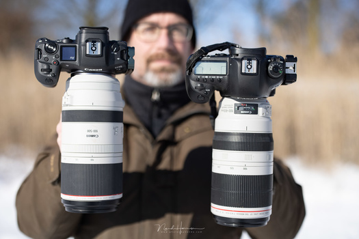 The Canon EOS R5 with RF 100-500L on the left. The Canon EOS 5D mark IV with EF 100-400L II on the right.