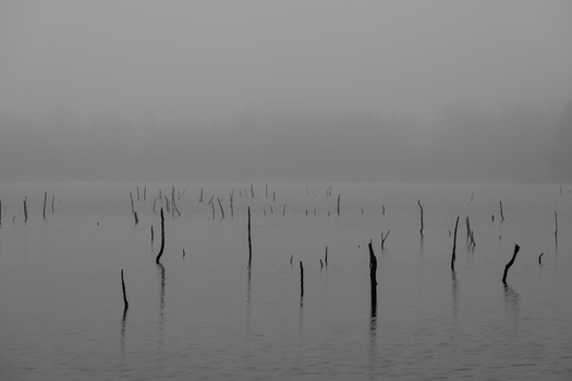 Wooden pilings and posts partially submerged in still, misty water with heavy fog obscuring the distant shoreline.