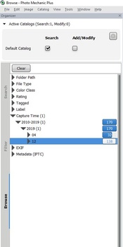 Screenshot of Browze photo management software showing folder tree structure with catalog organization options.