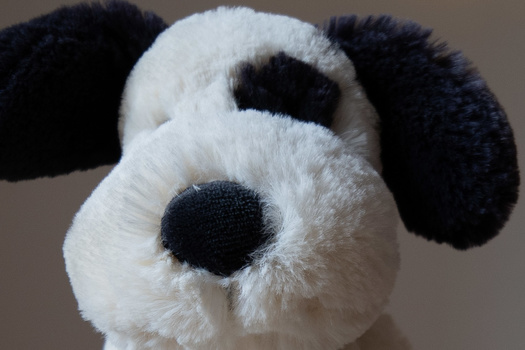 Close-up of a plush toy dog with white and black fuzzy fabric, photographed against a neutral beige background.