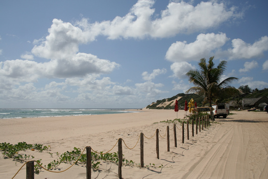 Tropical beach with wooden posts lining the sand, palm tree, and dramatic cloudy sky.