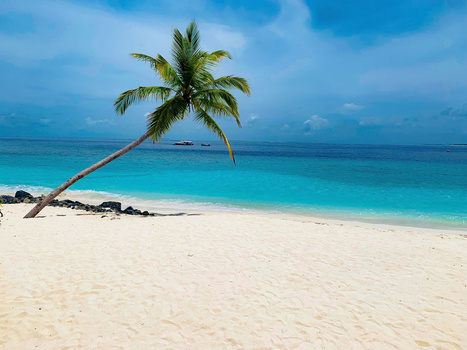 Leaning palm tree on white sand beach with turquoise water and blue sky.
