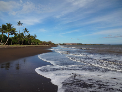 Tropical beach with dark volcanic sand, white-capped waves, and palm trees lining the shore under blue sky.