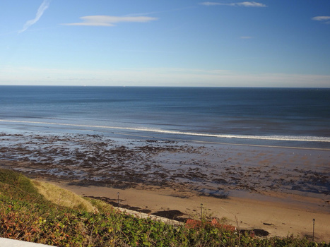 Coastal beach scene with sandy shore, breaking waves, and grassy cliff in foreground under clear blue sky.