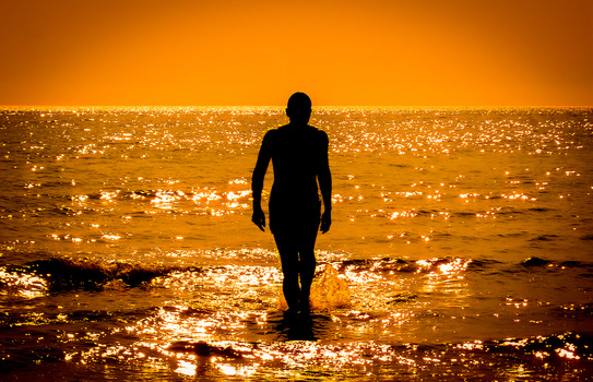 Silhouetted surfer in wetsuit standing in golden ocean water at sunset.
