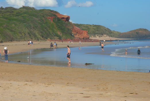 Beachgoers swimming and wading in shallow water near colorful red and tan cliff formations.