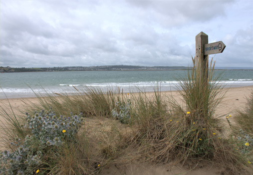 Wooden directional sign on coastal dune with beach grasses and wildflowers overlooking ocean.