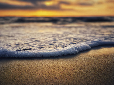 Ocean wave washing onto sandy beach at golden hour sunset.