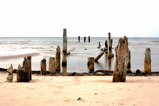 Weathered wooden pilings scattered across sandy beach with calm shallow water in background.