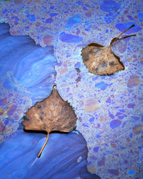 Two fallen leaves resting on vibrant blue water with crystalline ice formations.