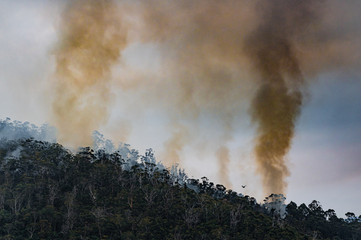 Massive columns of smoke and ash rise from a forested hillside during a large wildfire.