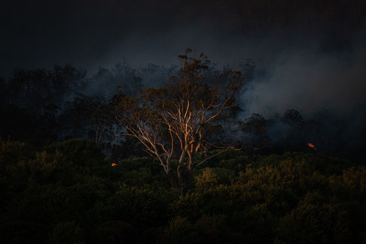 Solitary tree illuminated by warm light against dark stormy sky with distant fire glow.