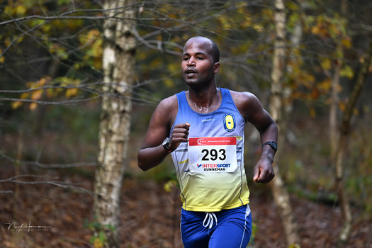 Trail runner wearing blue and yellow race bib number 293 jogging through a wooded forest path lined with birch trees.
