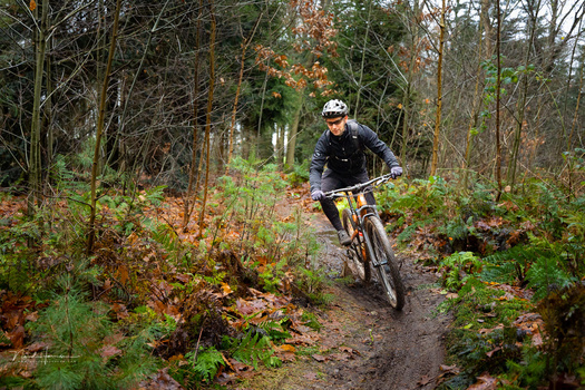 Mountain biker riding down a forest trail surrounded by autumn foliage and bare trees.