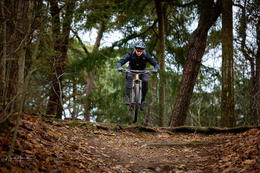 Mountain biker riding downhill on a forested trail covered in brown leaf litter.