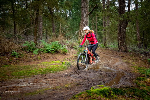 Mountain biker in red jacket riding through muddy forest trail surrounded by tall trees.