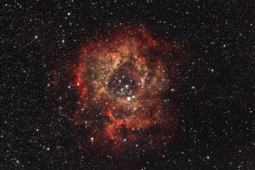 Rosette Nebula with bright central star cluster surrounded by red and orange emission nebulosity against starfield.