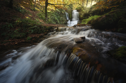 Cascading forest stream with silky water flowing over moss-covered rocks and fallen logs, with a distant waterfall visible through dense woodland.