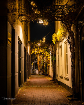 Narrow European alley at night with warm street lighting and tree canopy overhead.