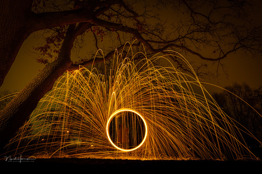 Steel wool spinning creates radiating golden light trails beneath a bare tree at night.