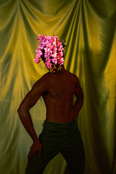 Shirtless male figure with vibrant pink flower cluster replacing head against draped yellow-green fabric backdrop.
