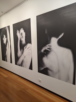 Gallery wall of four black and white portrait photographs showing close-up details of faces and hands in soft, diffused lighting.