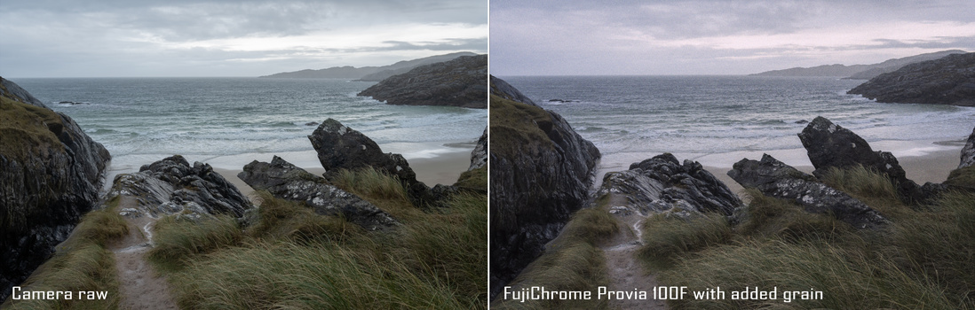 Coastal landscape with rocky outcrops and beach, comparing camera raw file against FujiChrome Provia 100F film simulation with added grain.