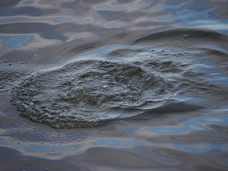 Shallow water ripples and reflections with textured sand formations and blue-grey tones.