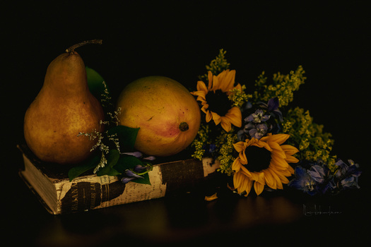 Still life arrangement with pears, apple, sunflowers, and fern against dark background.