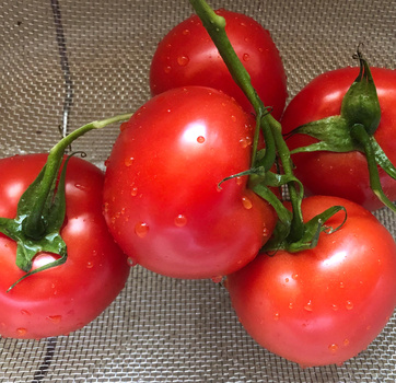 Cluster of ripe red tomatoes with green stems on a neutral woven surface.