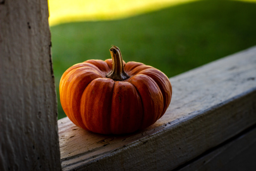 Deep orange pumpkin with ridged segments and dark stem sitting on weathered wooden surface.