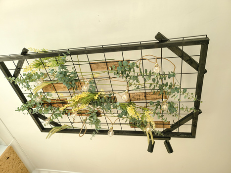 Black wire basket mounted on ceiling containing trailing pothos and other green plants.