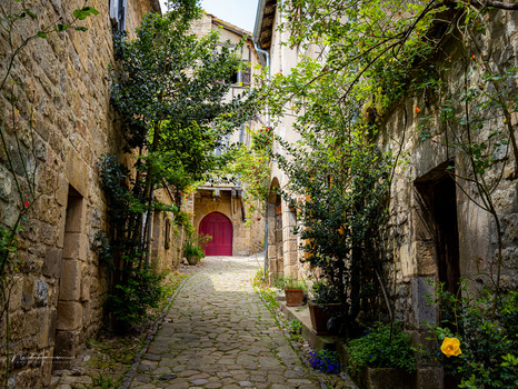 Narrow cobblestone alley lined with stone buildings and lush ivy, leading to a wooden door painted deep red.