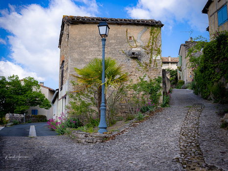 Cobblestone street in a historic stone village with palm tree and blue street lamp casting shadows.