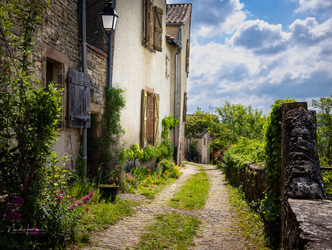Overgrown cobblestone alley lined with stone buildings and climbing vines under a cloudy sky.