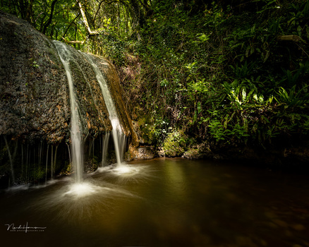 Waterfall cascading into a pool surrounded by lush green vegetation and moss-covered rocks.