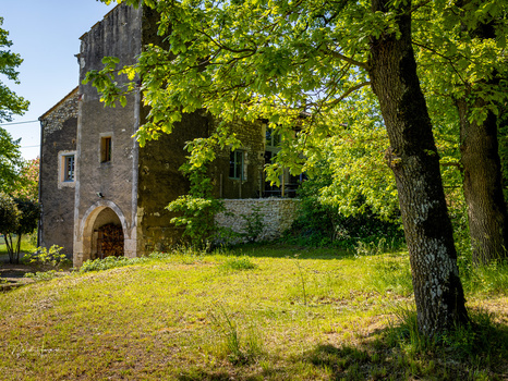 Abandoned stone tower with arched doorway surrounded by overgrown grass and dense green foliage.