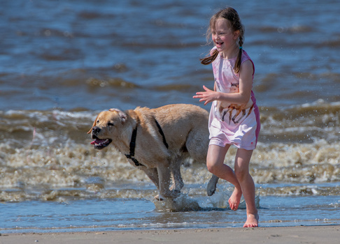 Young girl and golden dog playing together in shallow ocean water at a beach.