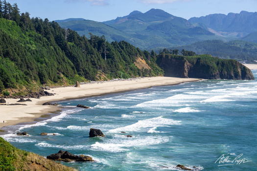 Rocky coastline with sandy beach, forested cliffs, and mountains under clear sky.