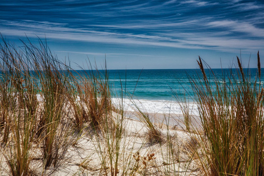 Beach scene with golden dune grass in foreground and turquoise ocean waves under blue sky.