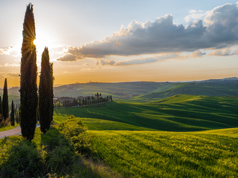 Tall cypress trees frame rolling green hills and a distant farmhouse at golden hour in Tuscany.
