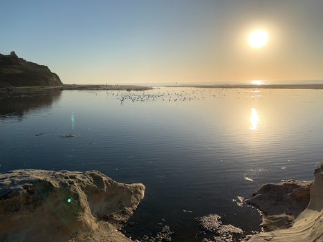 Calm bay with rocky foreground at golden hour, sun reflecting on still water with birds scattered across the surface.