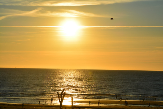 Silhouetted surfer standing in shallow water at sunrise, holding surfboard vertically.