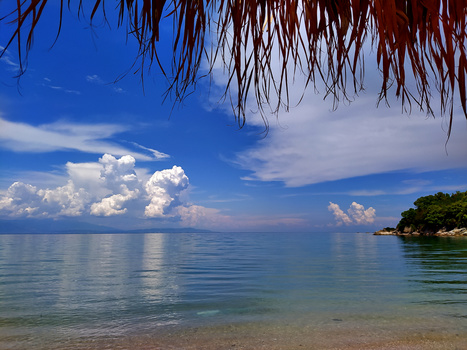 Tropical beach shoreline with calm turquoise water, white sand, and palm fronds overhead against a blue sky with white clouds.